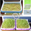 1 set Double Layer Bean Sprouts Plate Seedling Tray Planting Dishes Growing wheat seedlings Nursery Pots Home Garden plant tools 1 Set Double Layer Bean Sprouts Plate Seedling Tray Planting Dishes Growing Wheat Seedlings Nursery Pots Home Garden Plant Tools