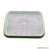 1 set Double Layer Bean Sprouts Plate Seedling Tray Planting Dishes Growing wheat seedlings Nursery Pots Home Garden plant tools 1 Set Double Layer Bean Sprouts Plate Seedling Tray Planting Dishes Growing Wheat Seedlings Nursery Pots Home Garden Plant Tools Green