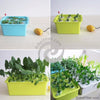 1 sets 220V/110V Plant Site Hydroponic Systems 6 Holes nursery pots Soilless cultivation plant seedling Grow Kit 1 Sets 220V/110V Plant Site Hydroponic Systems 6 Holes Nursery Pots Soilless Cultivation Plant Seedling Grow Kit