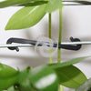 100 Pcs Garden Plant Vines Tied Buckles Fixed Lashing Hook Grafting Clips Agriculture Greenhouse Vegetables Gadget Planters 100 Pcs Garden Plant Vines Tied Buckles Fixed Lashing Hook Grafting Clips Agriculture Greenhouse Vegetables Gadget Planters