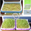 1 Set Double Layer Bean Sprouts Plate Seedling Tray Planting Dishes Growing Wheat Seedlings Nursery Pots Home Garden Plant Tools