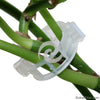 30 Pcs Plastic Garden Plant Flowers Tied Bundle Branch Clamp Clip Class Tools Flowers And Vegetables Vine Fixing Accessories